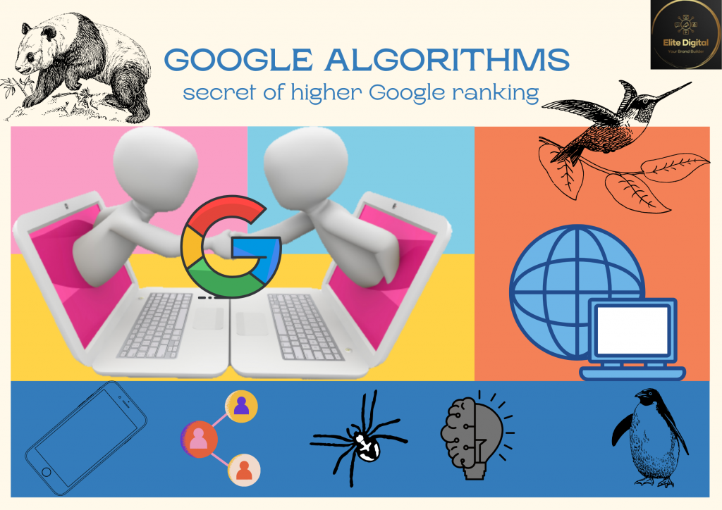 SEO-Google Algorithm