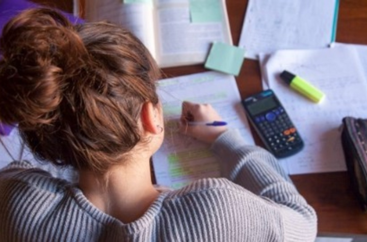 dissertation writing services