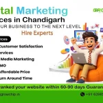 Growchip AI Technologies is a premier Digital Marketing Services in Chandigarh.